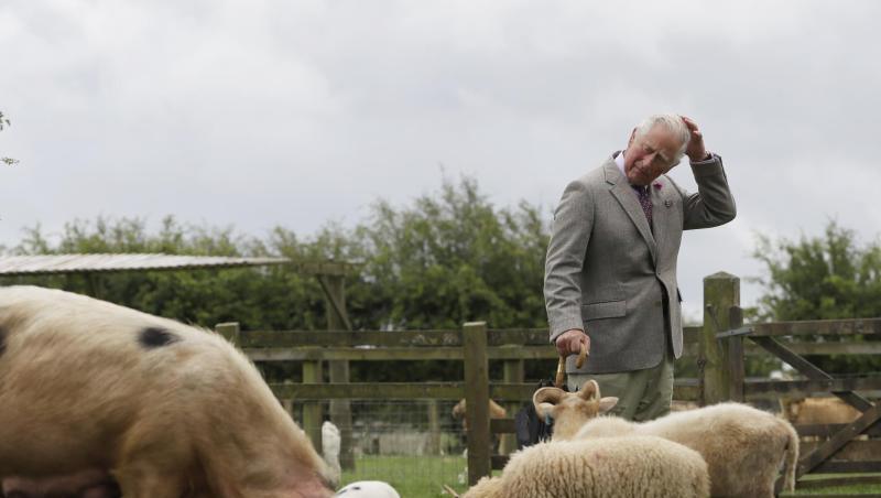 Prinz Charles ist in Großbritannien einer der Pioniere der ölologischen Landwirtschaft. Prinz Charles ist in Großbritannien einer der Pioniere der ölologischen Landwirtschaft.