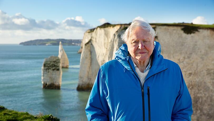 David Attenborough ist der Erzähler des Films "Ozean".