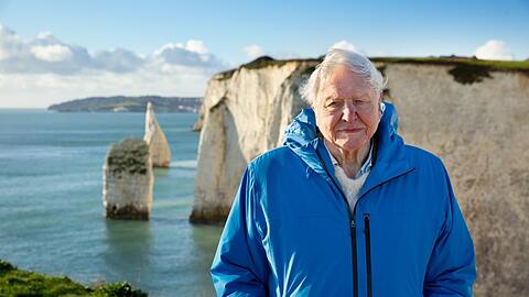 David Attenborough ist der Erzähler des Films "Ozean".