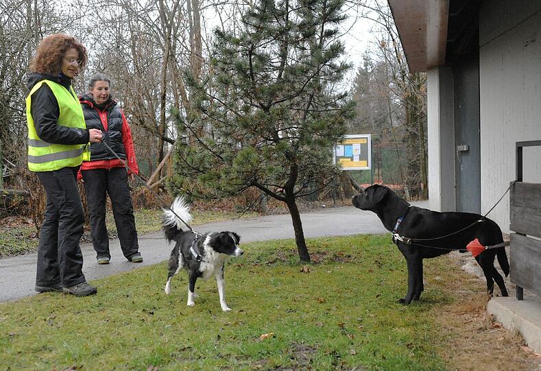 Nova und Karin Orle finden Chester problemlos.