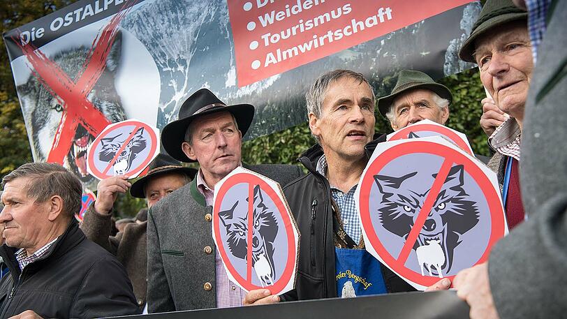 Bei einer Demonstration mit dem Motto "Weidetiere statt Wolfsreviere" nahmen am Montag rund 300 Bauern aus drei Ländern vor dem Prinzregententheater. Hier wurde am Vormittag die 1. Umweltministerkonferenz zur EU-Alpenstrategie eröffnet.