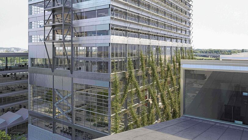 26 Etagen soll das 99-Meter-Haus hoch werden. Die Fassade soll teilweise begrünt werden. 26 Etagen soll das 99-Meter-Haus hoch werden. Die Fassade soll teilweise begrünt werden.