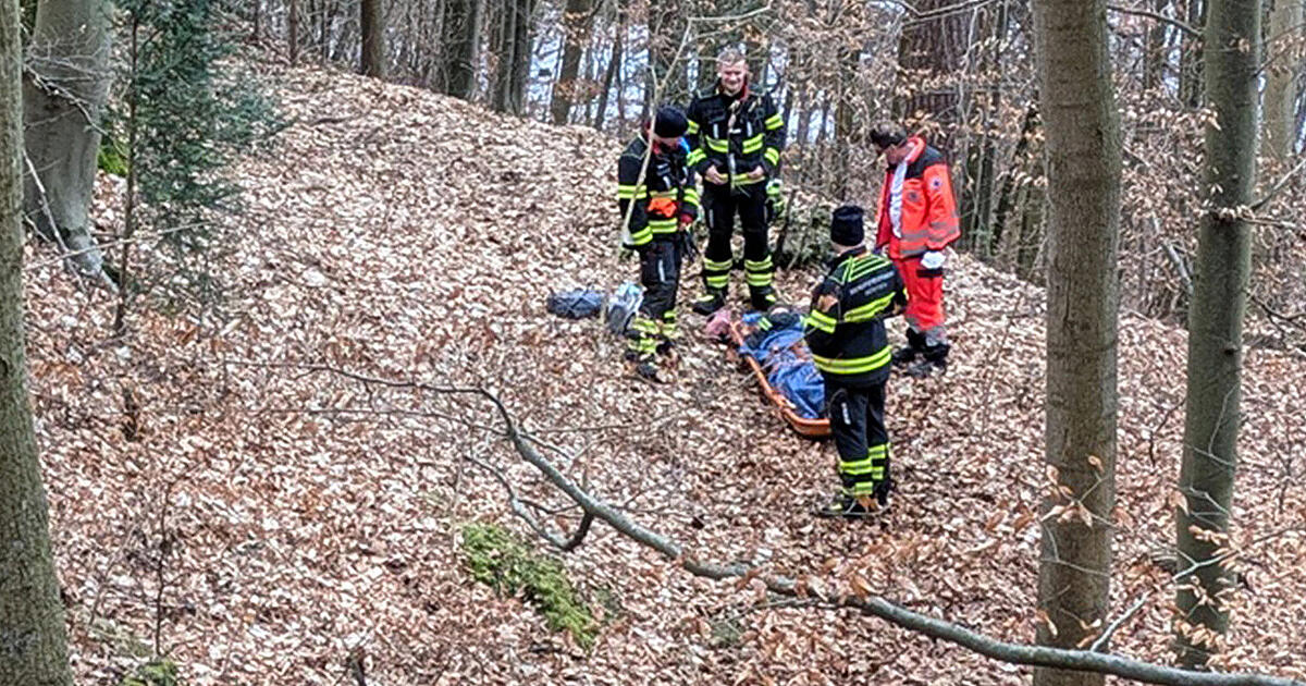 Frau-st-rzt-beim-Gassigehen-im-Wald-schwer-Feuerwehr-rettet-Frau-und-Hund