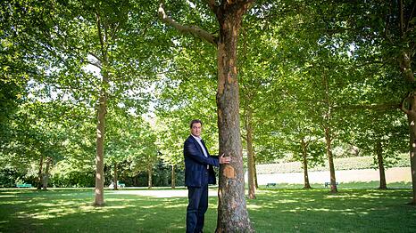 Dieses Foto verfolgt Markus S&ouml;der seit seiner Aufnahme 2020: Damals umarmte der bayerische Ministerpr&auml;sident einen Baum in M&uuml;nchen um zu zeigen, wie wichtig ihm der Klimaschutz ist. Nun hat S&ouml;ders Kabinett die Klimaneutralit&auml;t von 2040 auf 2045 verschoben. (Archivbild)
