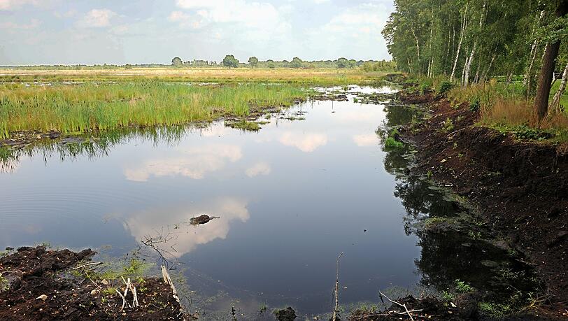 Ein intaktes Moor bindet klimasch&auml;dlichen Kohlenstoff und sch&uuml;tzt somit das Klima. (Archivbild)