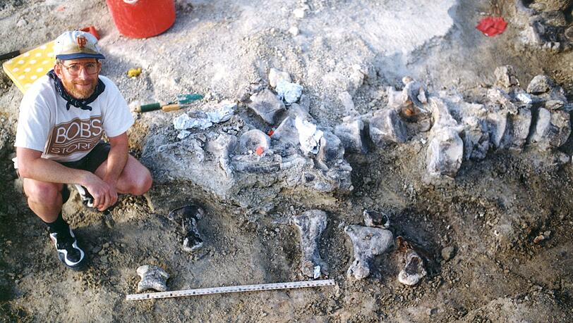 Ein Mitglied des Grabungsteams der Universität von Kansas kniet neben den Fußknochen eines nahen Verwandten des Brachiosaurer, der den Spitznamen "Bigfoot" erhielt. Ein Mitglied des Grabungsteams der Universität von Kansas kniet neben den Fußknochen eines nahen Verwandten des Brachiosaurer, der den Spitznamen "Bigfoot" erhielt.