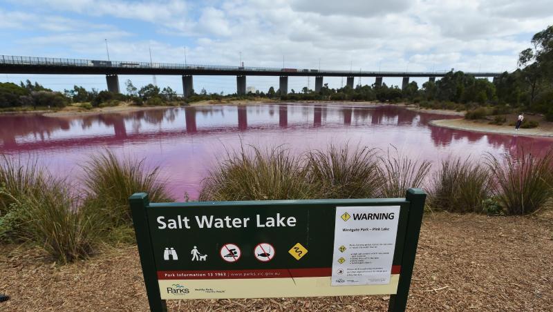 Der See im Westgate Park in Melbourne wird von Zeit zu Zeit pink. Grund dafür ist der hohe Salzgehalt im Wasser. Der See im Westgate Park in Melbourne wird von Zeit zu Zeit pink. Grund dafür ist der hohe Salzgehalt im Wasser.