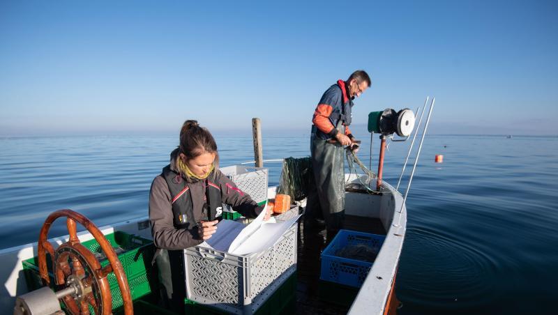 Wissenschaftler der Fischereiforschungsstelle auf einem Forschungsboot. Foto: Marijan Murat Wissenschaftler der Fischereiforschungsstelle auf einem Forschungsboot. Foto: Marijan Murat