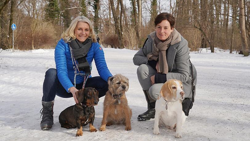 Genießen den Englischen Garten: Pamela Sch. (l.) mit Dackel Max und Borderterrier Paula und Christine Meister mit Beagle Frida. Genießen den Englischen Garten: Pamela Sch. (l.) mit Dackel Max und Borderterrier Paula und Christine Meister mit Beagle Frida.