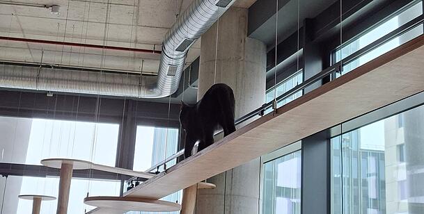 Mister geht den Catwalk in Freiham entlang. In anderen Städten wie etwa Berlin müssen hier teils Plexiglasscheiben angebracht sein. Mister geht den Catwalk in Freiham entlang. In anderen Städten wie etwa Berlin müssen hier teils Plexiglasscheiben angebracht sein.