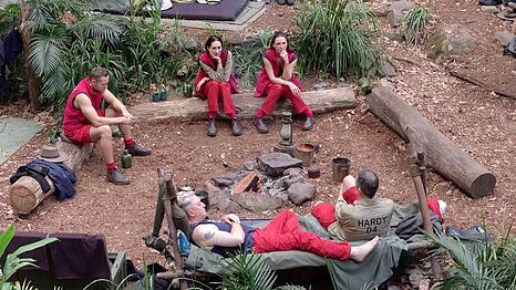 Wer musste das Dschungelcamp verlassen?