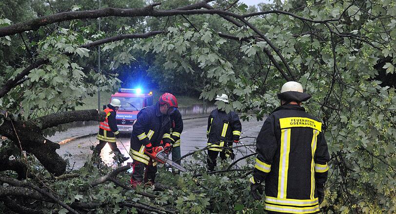 Die Feuerwehr zersägt einen umgestürzten Baum in Augsburg.