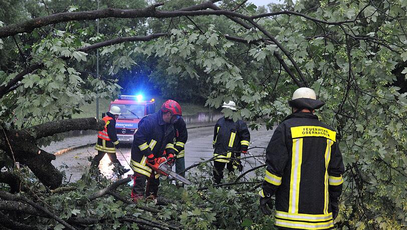 Die Feuerwehr zersägt einen umgestürzten Baum in Augsburg. Die Feuerwehr zersägt einen umgestürzten Baum in Augsburg.