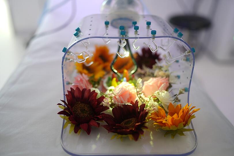 Zur Vorstellung: Blumen rahmen Instrumente und Kamera für die Schlüssellochtechnik ein. An Strukturen, wie hier Tentakeln aus Kunststoff, üben die Chirurgen in Bogenhausen. Zur Vorstellung: Blumen rahmen Instrumente und Kamera für die Schlüssellochtechnik ein. An Strukturen, wie hier Tentakeln aus Kunststoff, üben die Chirurgen in Bogenhausen.