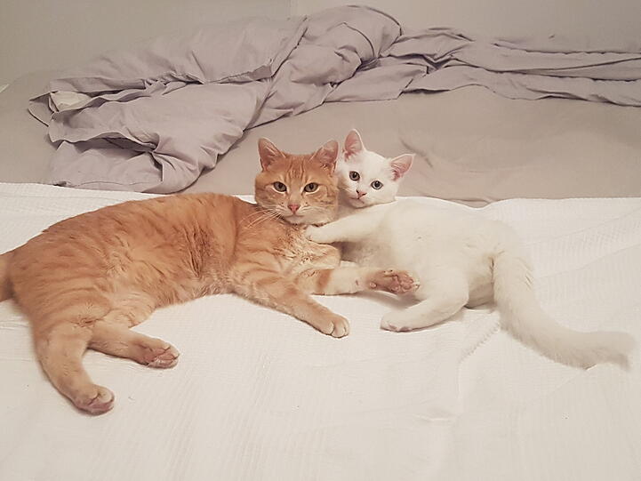 Sammy und Nala