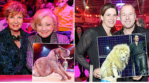 Circus Krone stellte am Donnerstag ein neues Programm vor...
