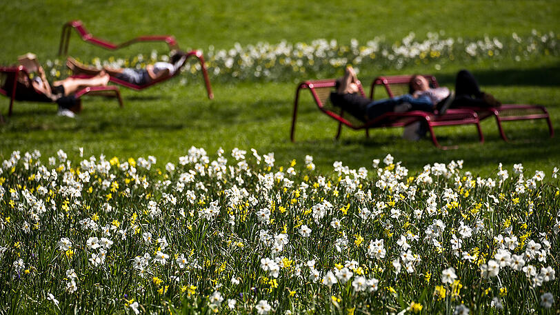 Weitere sonnige April-Bilder aus Bayern.