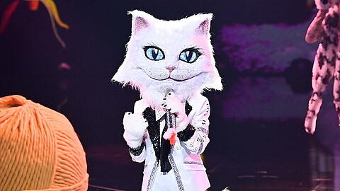Bei "The Masked Singer" musste die Katze enthüllen, welcher Promi im Kostüm steckt