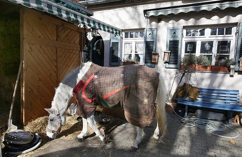 Schimmel Feli rastet im Hof: Die Szenerie erinnert fast ein bisschen an die Villa Kunterbunt und den &bdquo;Kleinen Onkel&ldquo;.