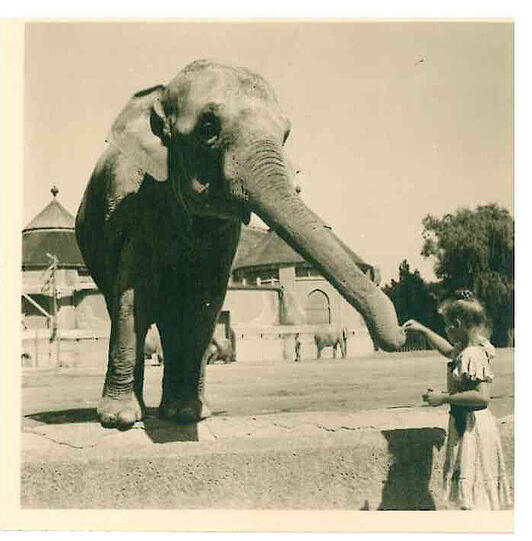 Flieg! Im Dezember 1949 lässt Eveline Bahr mit ihrem Vater Benno Kusche und dessen Freund Siegfried Tittert, Regisseur an der Staatsoper, einen Drachen auf der Wiese steigen. Heute steht hier der Arabellpark.