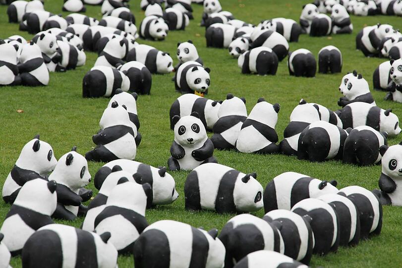 WWF Deutschland feiert 50-jähriges Bestehen: Die Panda-Skulpturen am Marienhof