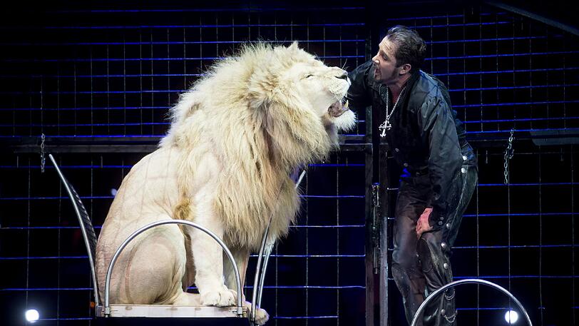 Die Wildtiere des Circus Krone - hier bei der Premiere der Winterspielzeit 2016