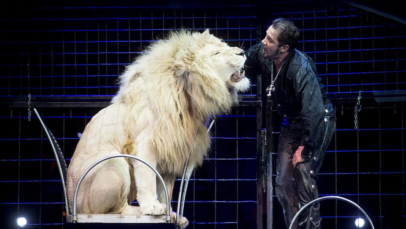 Die Wildtiere des Circus Krone - hier bei der Premiere der Winterspielzeit 2016