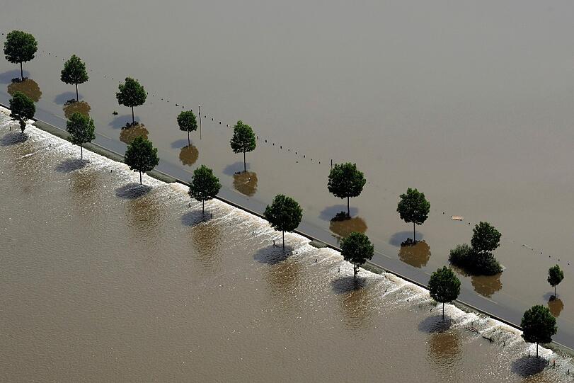 Deichbruch bei Fischbeck in Sachsen-Anhalt - Aktuelle Bilder vom Hochwasser