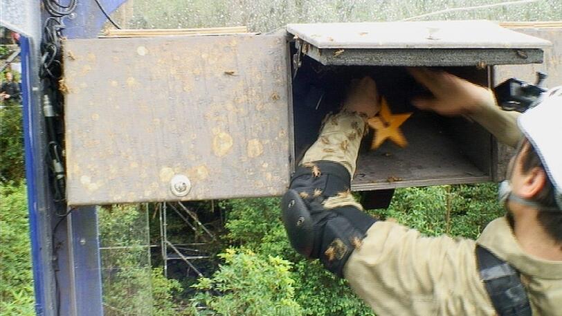 Dann nimmt er sich die Gepäckfächer vor: Im ersten sind Grillen, im zweiten Spinnen und jeweils ein Stern. Im dritten Fach durchwühlt Rocco blitzschnell eine Armada von Kakerlaken, findet aber keinen Stern.