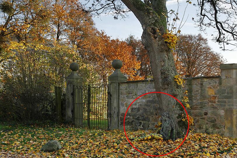 Hätten Sie die Nackte gefunden? Klicken Sie durch die Bilderrätsel.