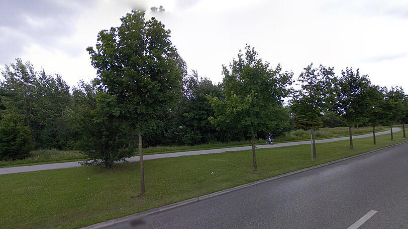 An der Maria-Probst-Straße entlang läuft eine öffentlichen Grünanlage. Dort wurden insgesamt 72 Bäume gefällt.