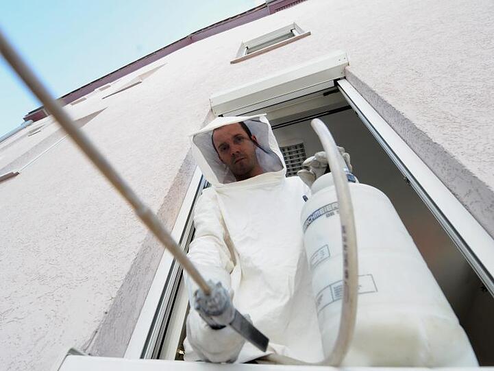 Ein Kammerjäger steht mit einer Spritze und einem Schutzanzug im Fenster. Foto: Bernd Weißbrod/Archiv