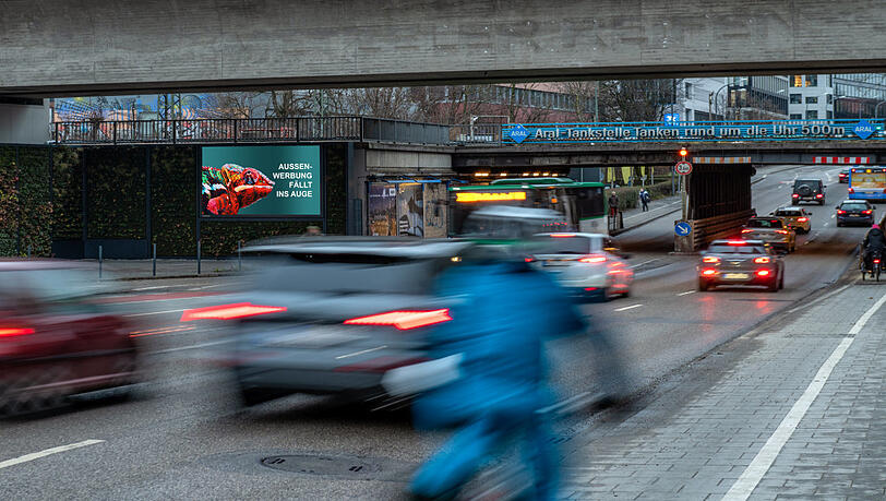 Die frisch begrünten Brückenpfeiler an der Rosenheimer Straße. Die frisch begrünten Brückenpfeiler an der Rosenheimer Straße.