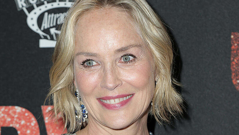 Sharon Stone muss ihre Partnersuche erst mal auf Eis legen Sharon Stone muss ihre Partnersuche erst mal auf Eis legen