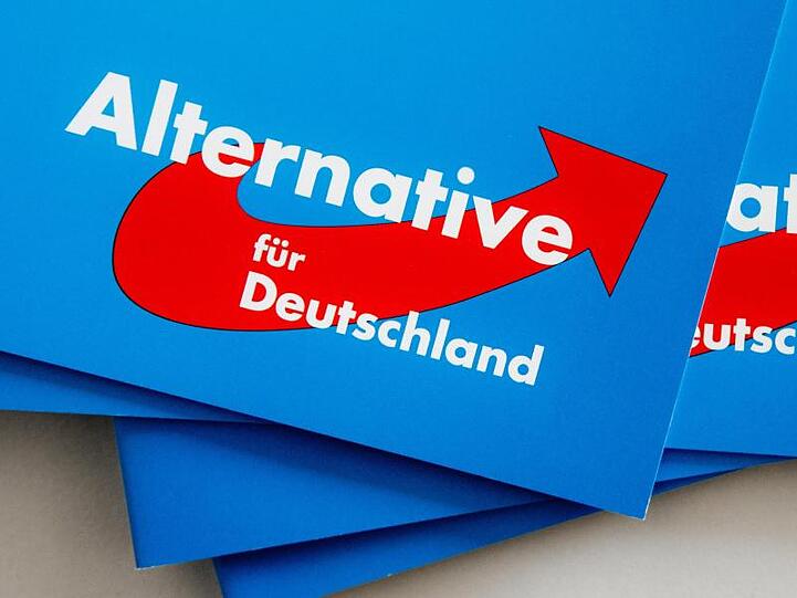 Das Logo der AfD auf Parteibroschüren.