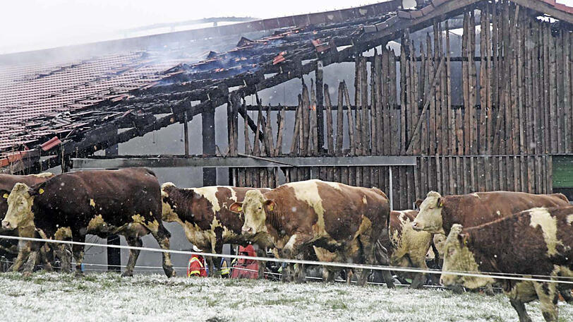 Bilder vom Feuerwehreinsatz in Irschenberg.