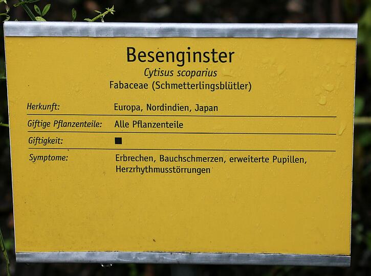 Auflösung siehe Tafel