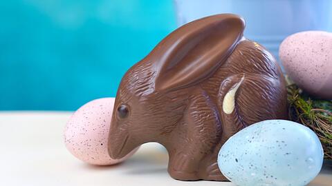 In Australien stiehlt der Bilby dem Osterhasen die Show.