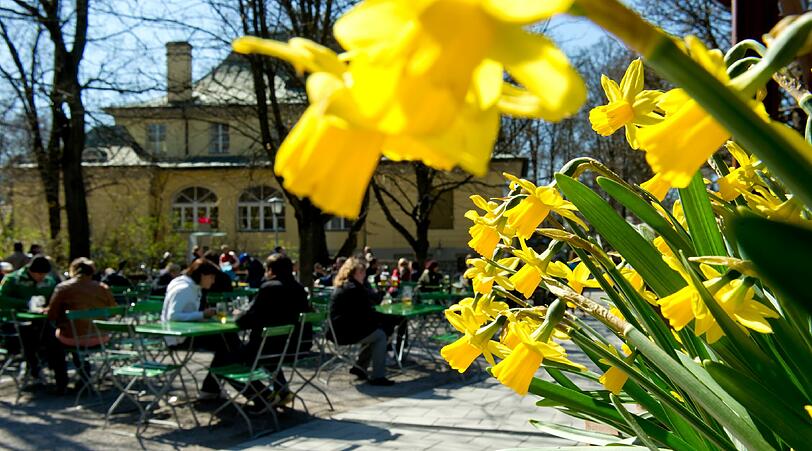 Besucher des Biergartens am Chinesischen Turm im Englischen Garten genießen am Sonntag (01.04.2012) das schöne Wetter.
