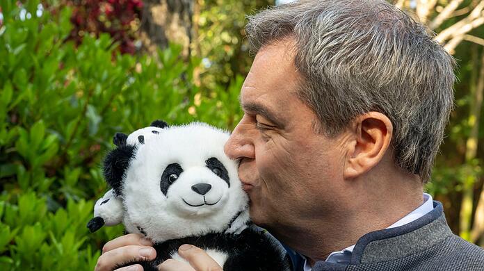 Statt nur Panda-Pl&uuml;schtieren wird es in Bayern bald lebendige Riesenpandas geben.