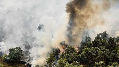 Nach anhaltender Trockenheit breiten sich die Flammen im Naturschutzgebiet De Rosmolen schnell aus.