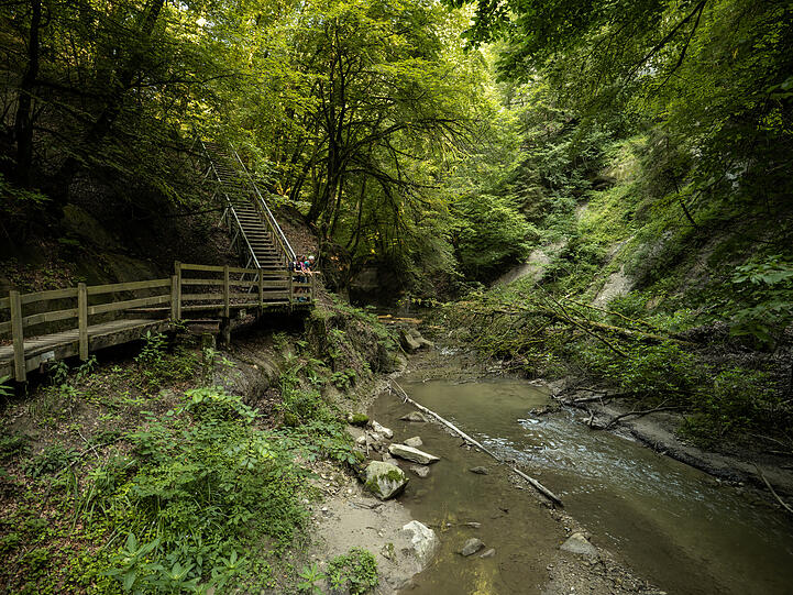 Am Fuße der Freiburger Voralpen lockt das Galterntal nahe der Kantonshauptstadt Fribourg mit einer Flusswanderung durch ein Tal voller Legenden.