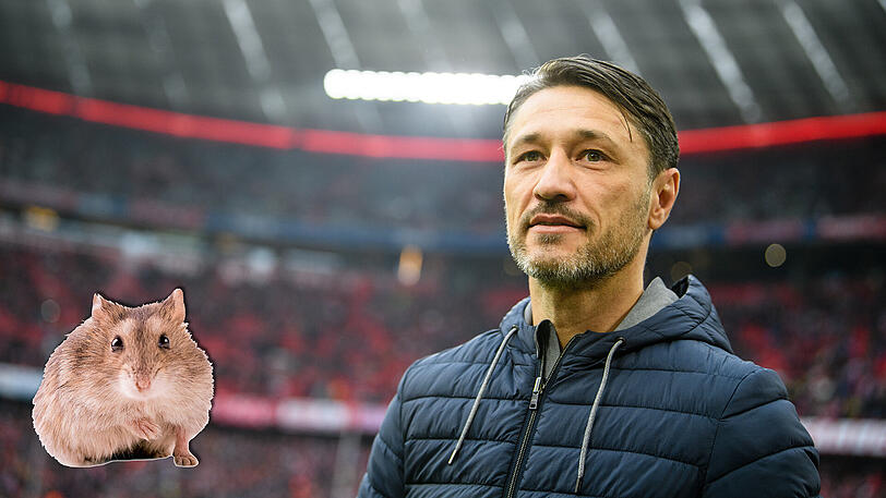 "Wir müssen kämpfen und hamstern, damit wir bis Weihnachten am besten alle Punkte einfahren", sagt Bayern-Trainer Niko Kovac.