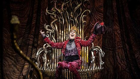 Der Hofnarr hat die Macht &uuml;bernommen, aber das gef&auml;llt nicht allen im alten K&ouml;nigreich.