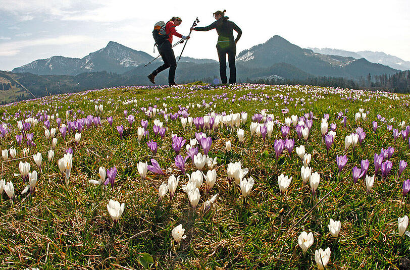 Erste Bergwanderungen sind bereits möglich &ndash; zu hoch hinauf sollte es allerdings nicht gehen.