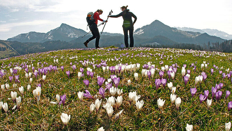 Erste Bergwanderungen sind bereits möglich – zu hoch hinauf sollte es allerdings nicht gehen. Erste Bergwanderungen sind bereits möglich – zu hoch hinauf sollte es allerdings nicht gehen.