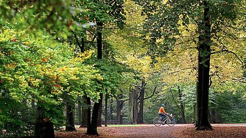 Raus an die frische Luft, zum Beispiel für eine Radltour.