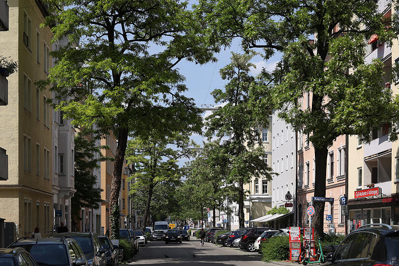 Unaufgeregt, erstaunlich ruhig und sogar ausgesprochen grün: die Kurfürstenstraße, die sich von der Maxvorstadt nach Schwabing zieht.
