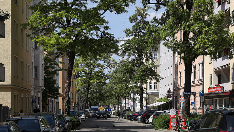 Unaufgeregt, erstaunlich ruhig und sogar ausgesprochen grün: die Kurfürstenstraße, die sich von der Maxvorstadt nach Schwabing zieht. Unaufgeregt, erstaunlich ruhig und sogar ausgesprochen grün: die Kurfürstenstraße, die sich von der Maxvorstadt nach Schwabing zieht.