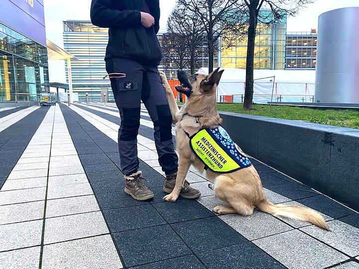 Anubis ist mein medizinischer Assistenzhund und mein absoluter Lebensretter und Begleiter durch dick und dünn.